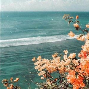 Meet your Posher, Kris